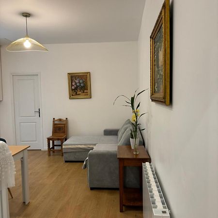 Appartement Meuble Tout Confort シャロン・シュル・ソーヌ エクステリア 写真