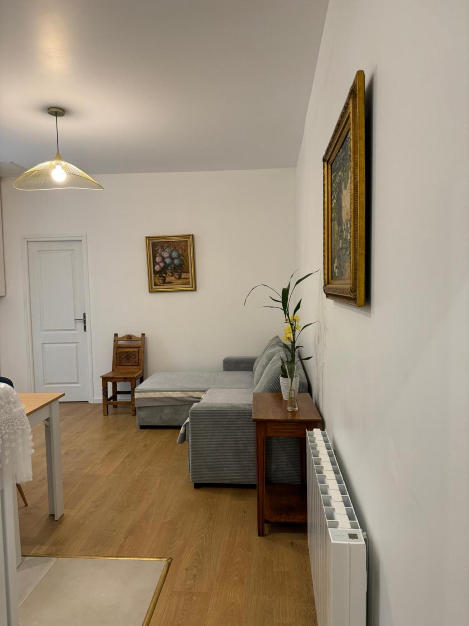 Appartement Meuble Tout Confort シャロン・シュル・ソーヌ エクステリア 写真